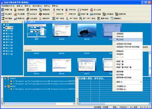 PlayStation 4 第二屏幕控制软件及其开发概述